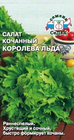 Семена салат айсберг Королева Льда СЕДЕК 0,5 г